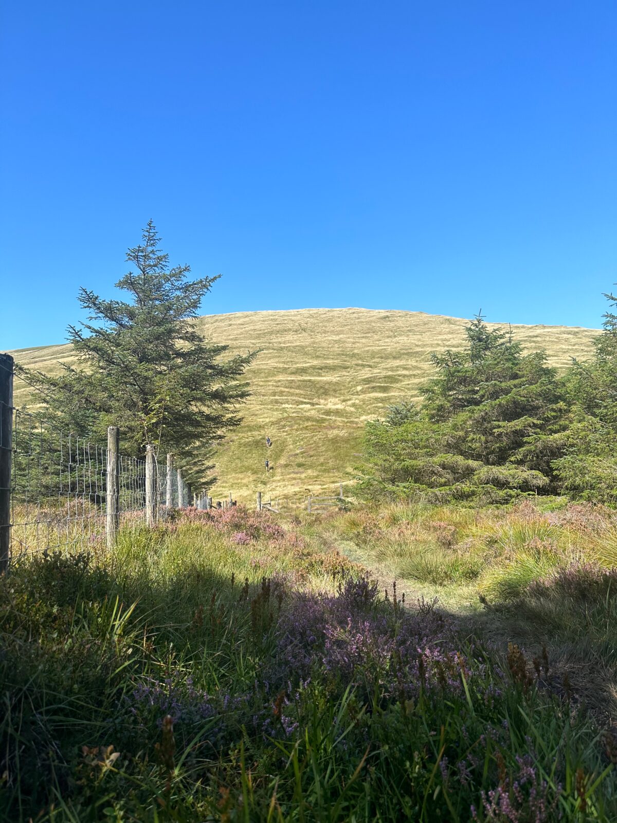Dragon's Back Race diary: Day 3
