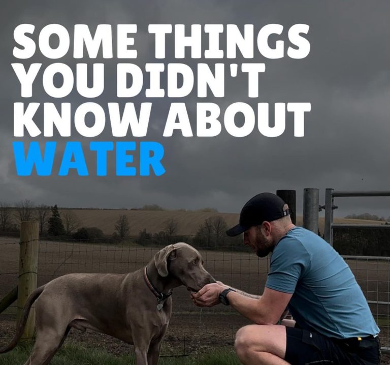 Why water matters more than you think