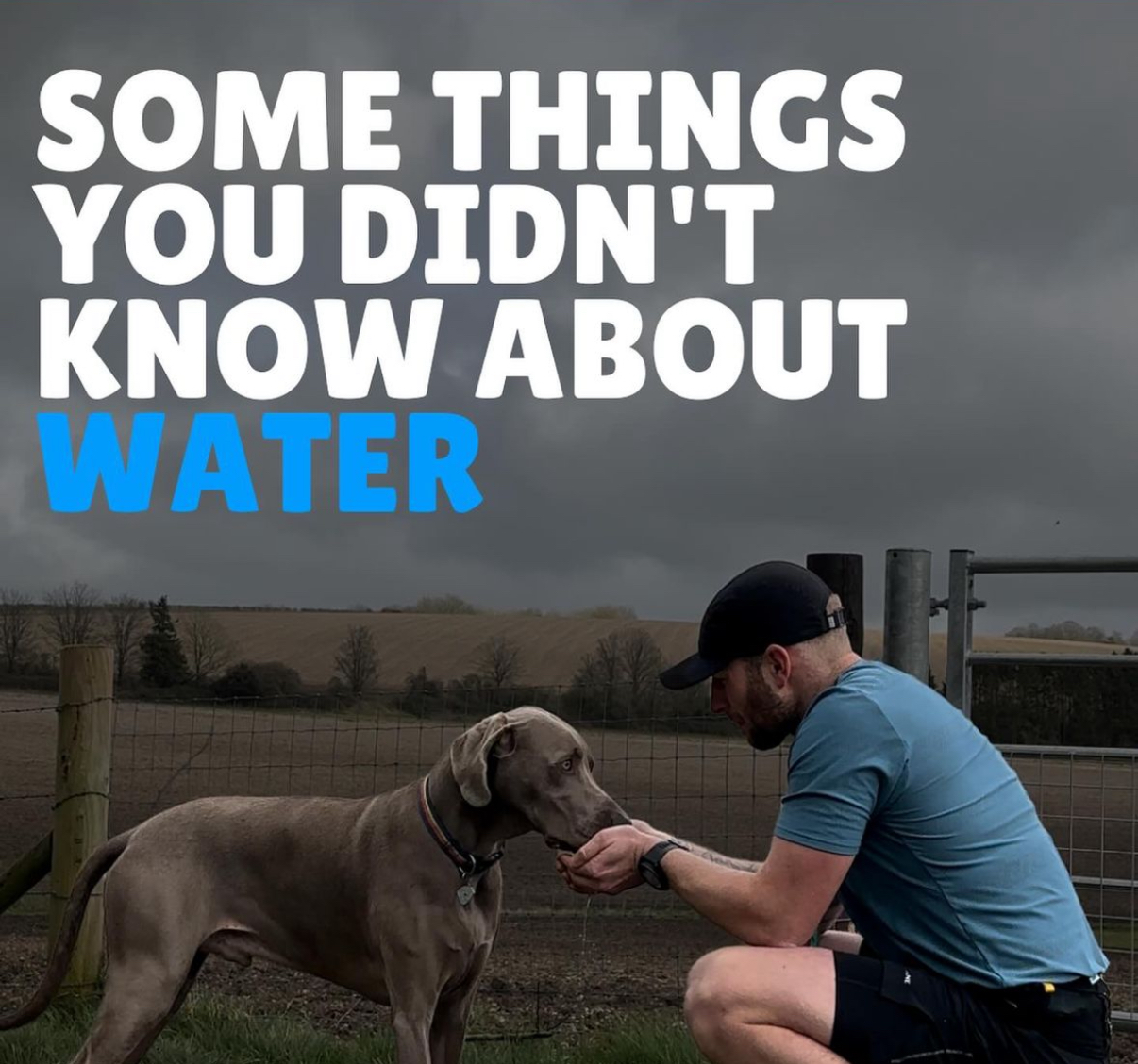 Why water matters more than you think