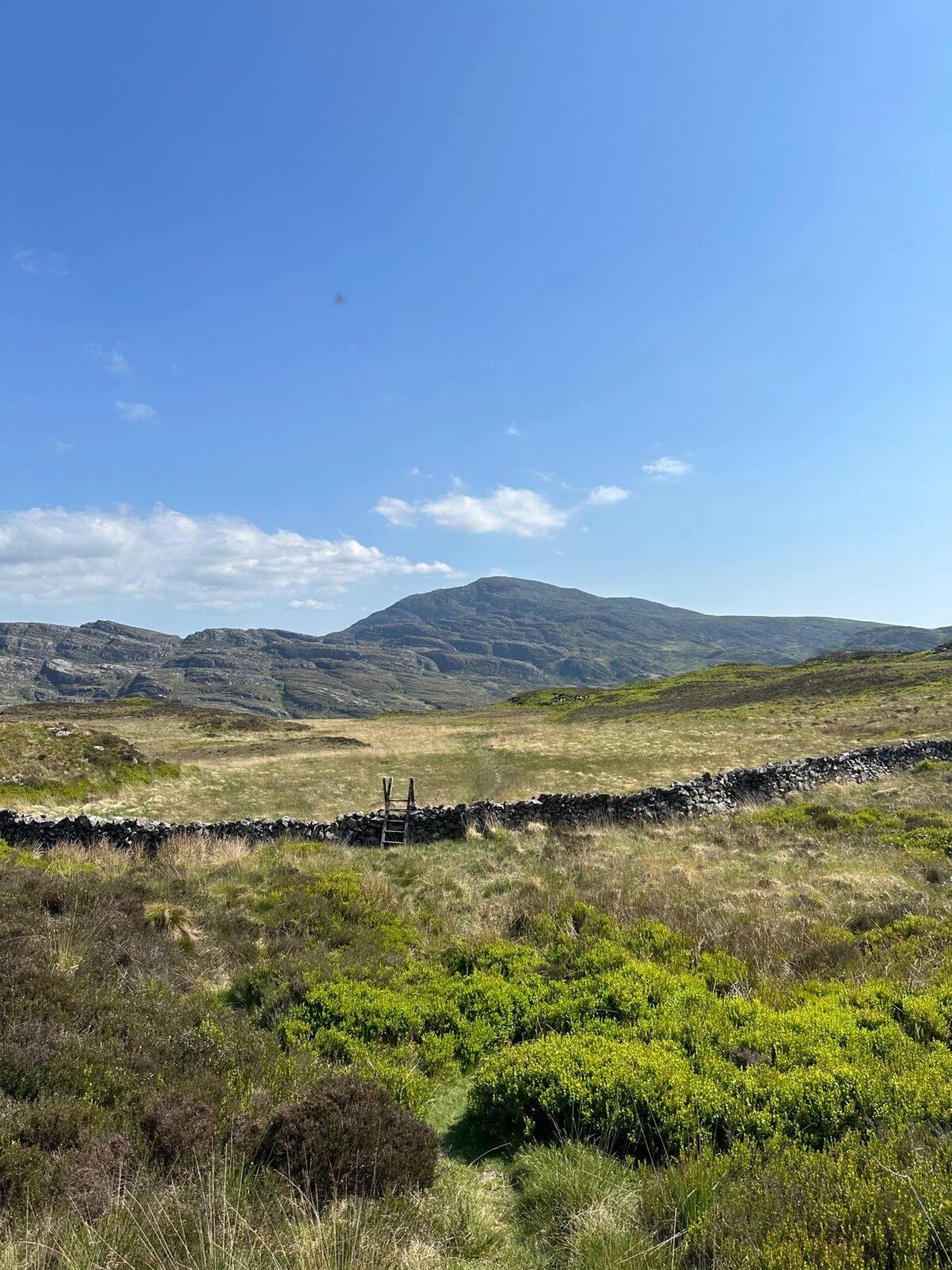 Dragon's Back Race diary: Day 2